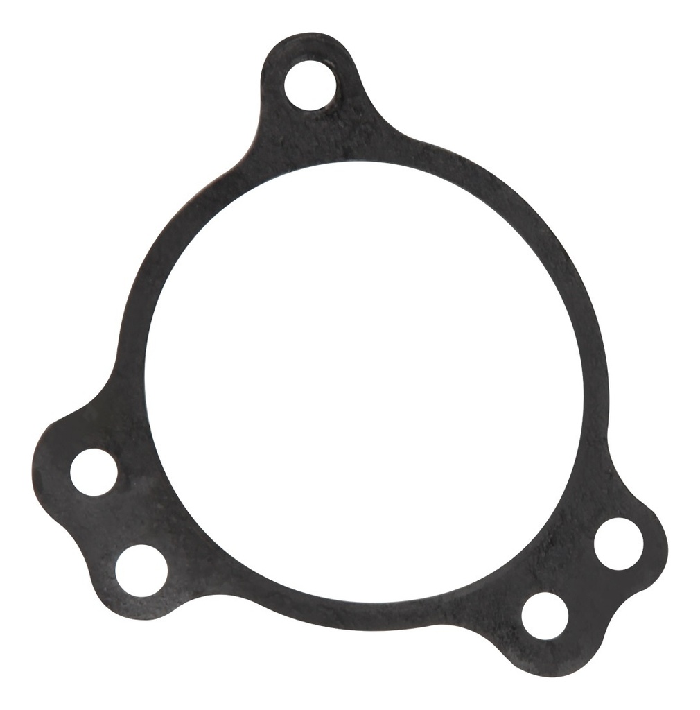 Empaque Filtro Aceite Italika Vort-x 300