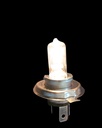 FOCO FARO DEL H4 P43T 12V 35/35W