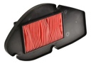 FILTRO AIRE D150,X150D,D150LT