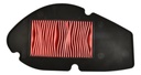 FILTRO AIRE D150,X150D,D150LT