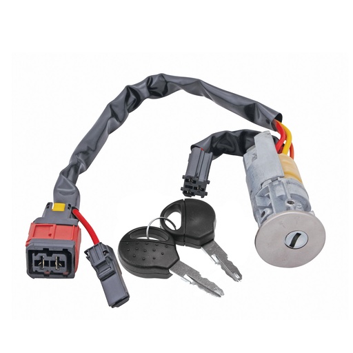 [223-2401-00] CILINDRO DE ENCENDIDO PG 206 01-09  METAL CROMADO 12VCC MANIJAUTO    