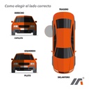 CHAPA PUERTA VW BEETLE 98-11/GOLF 00-06/JETTA CLASICO 08-15/A4 99-07/PASSAT 99-05/BORA 05-10 ST IBIZA 03-08 ELECTRICA 6 PINS 12VCC TRASERA DER