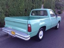 Mica Calavera Dodge Pick Up 1973-1979 Der