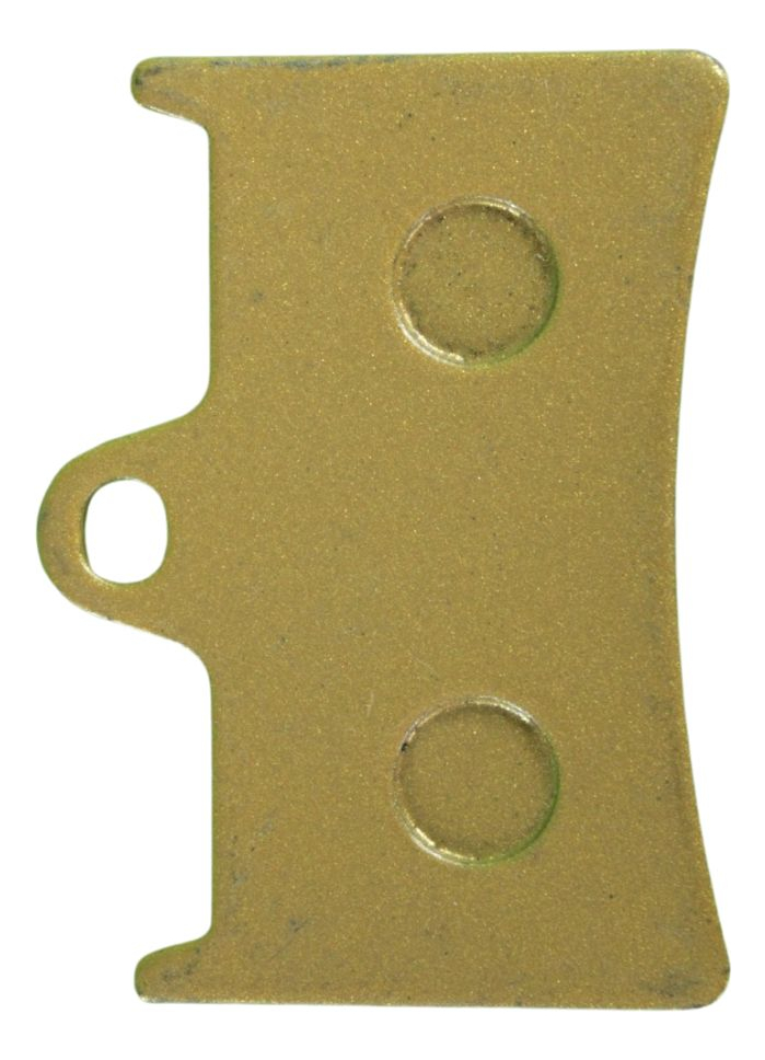 Balatas De Freno De Disco Yamaha Fz6 Fazer S2, Tdm 900, Xjr