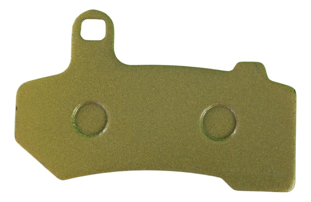 Balata De Freno De Disco Harley Davidson Flhtk Electra