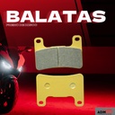 Balata Freno Disco Kawasaki Zx10r, Suzuki Gsxr, M1800