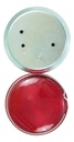 Plafon Delfin 3.5  Rojo Redondo Universal