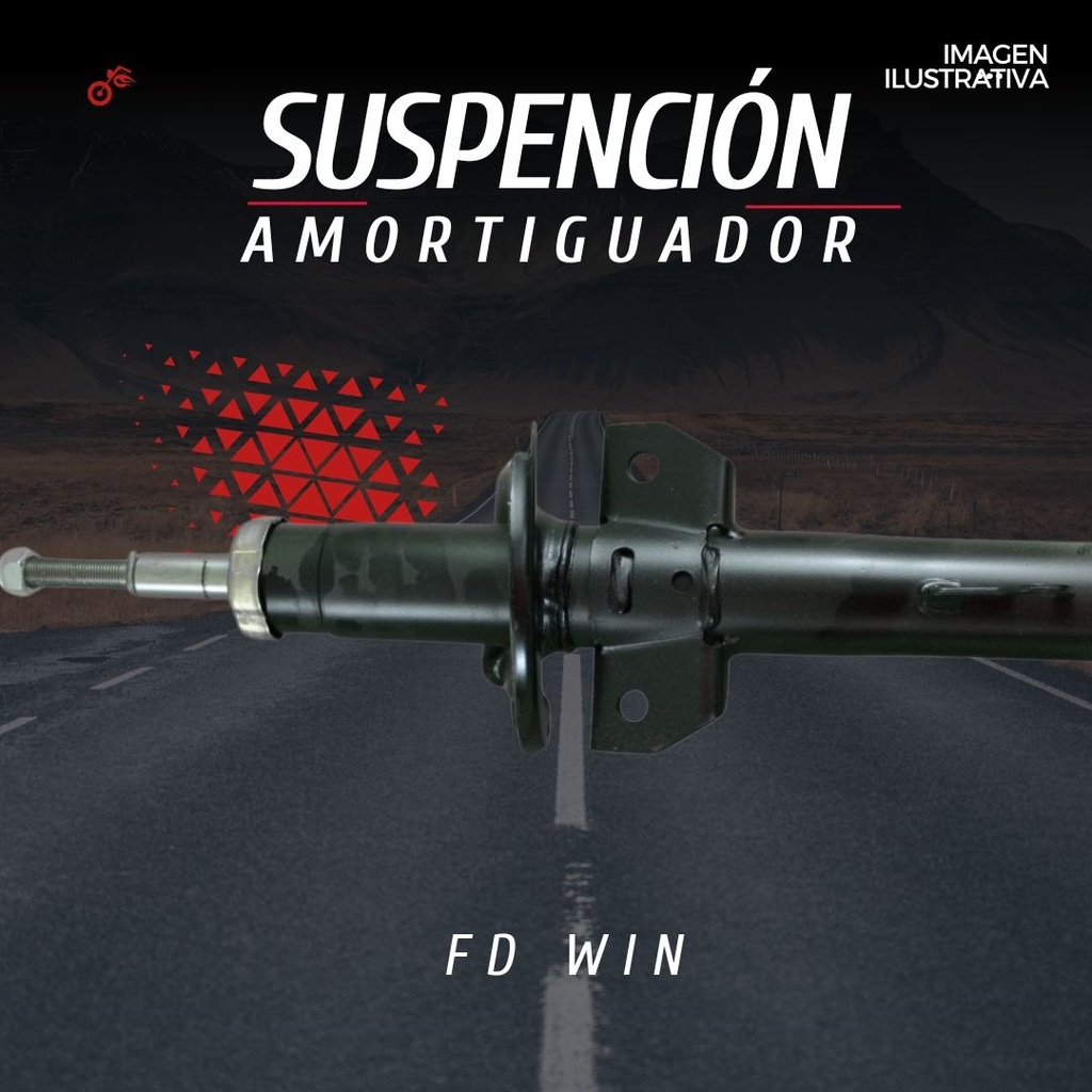 Amortiguador  Suspensión Delantera Ford Winstar 95-03 Izq/de