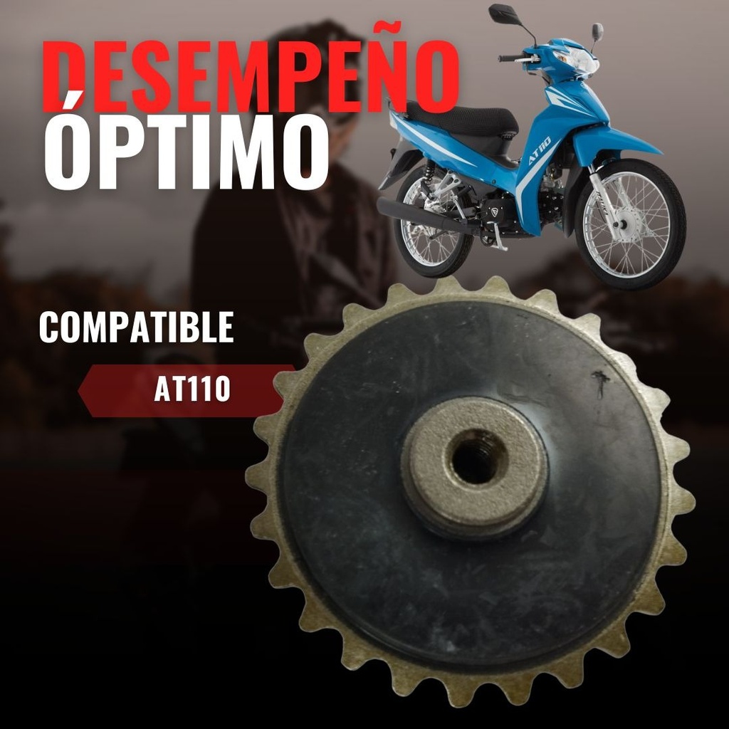Kit Rodamiento Guía Cadena Cámara Para Moto At110