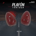 Plafon Tortuga 4x2.03  Ambar Y  Rojo