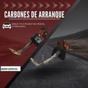 Carbones Para Marcha Ford Pmgr 12v