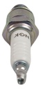 Bujia Ngk Moto 3882