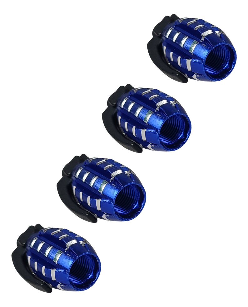 TAPON DE VALVULA GRANADA AZUL/PLATA