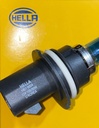 FOCO 9004 XENON 100/80W
