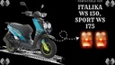 DIRECCIONAL JGO DEL WS150 SPORT,WS175