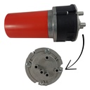 CORNETA BOCINA MUSICAL CUCARACHA