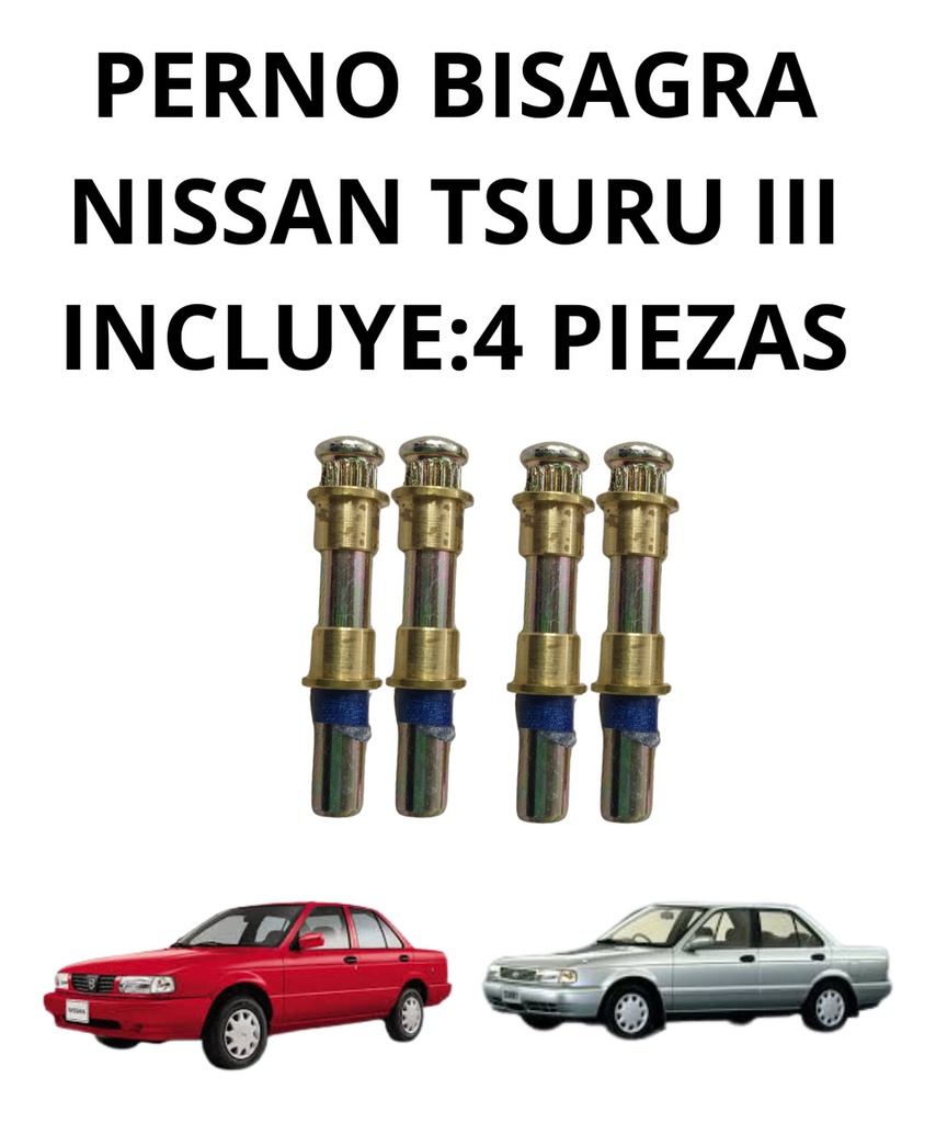 PERNO BISAGRA NS TSURU III  C/CAB 4 PZAS