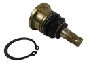 ROTULA HORQUILLA INF ATV150SP 11-12,ATV200,ATV180