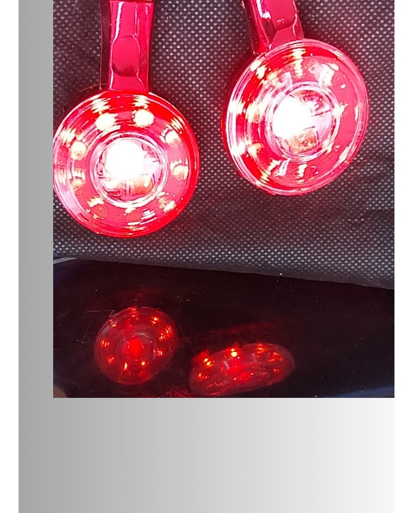DIRECCIONAL MOTO LED ROJA