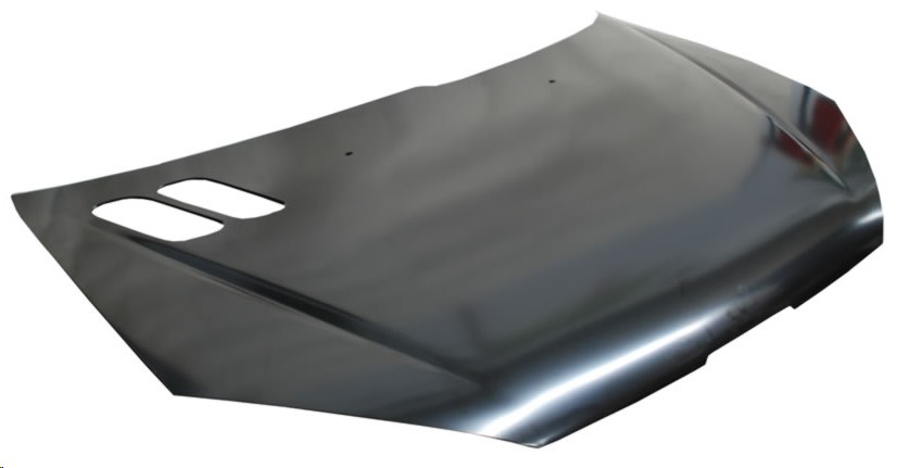 COFRE PG 206 01-09