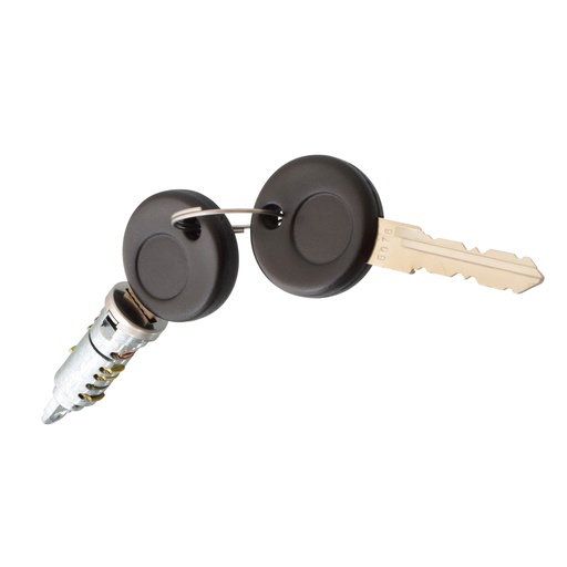 CILINDRO PARA PUERTA VW GOLF 93-99/JETTA A3 93-98  ST IBIZA/CORDOBA 99-02  VW CABRIO 93-01  1 PIEZA METAL CROMADO TIPO ORIGINAL Derecho/Izquierdo   