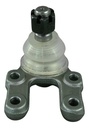 ROTULA INFERIOR NS D21 87-96 4X4 PRECIO 