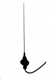ANTENA AUTO NS SENTRA 01- PONTIC COMPLET