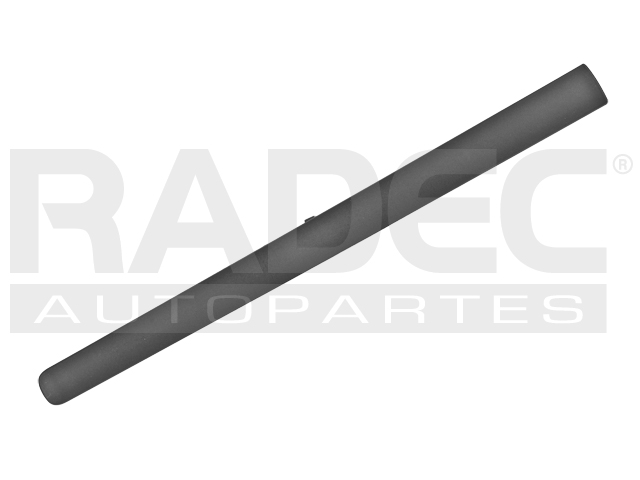 MOLDURA PUERTA DELANTERA DG ATOS 01-12 IZQ