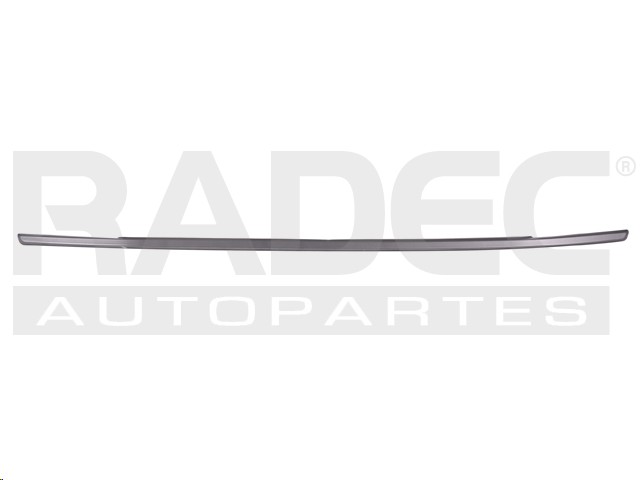 MOLDURA PARRILLA FD ECOSPORT 18-21 INFERIOR PLATA TREND/IMPULSE/TITANIUM L3/L4 3/4 CILINDROS 1.5/2.0L 5 PUERTAS ARGENTINA