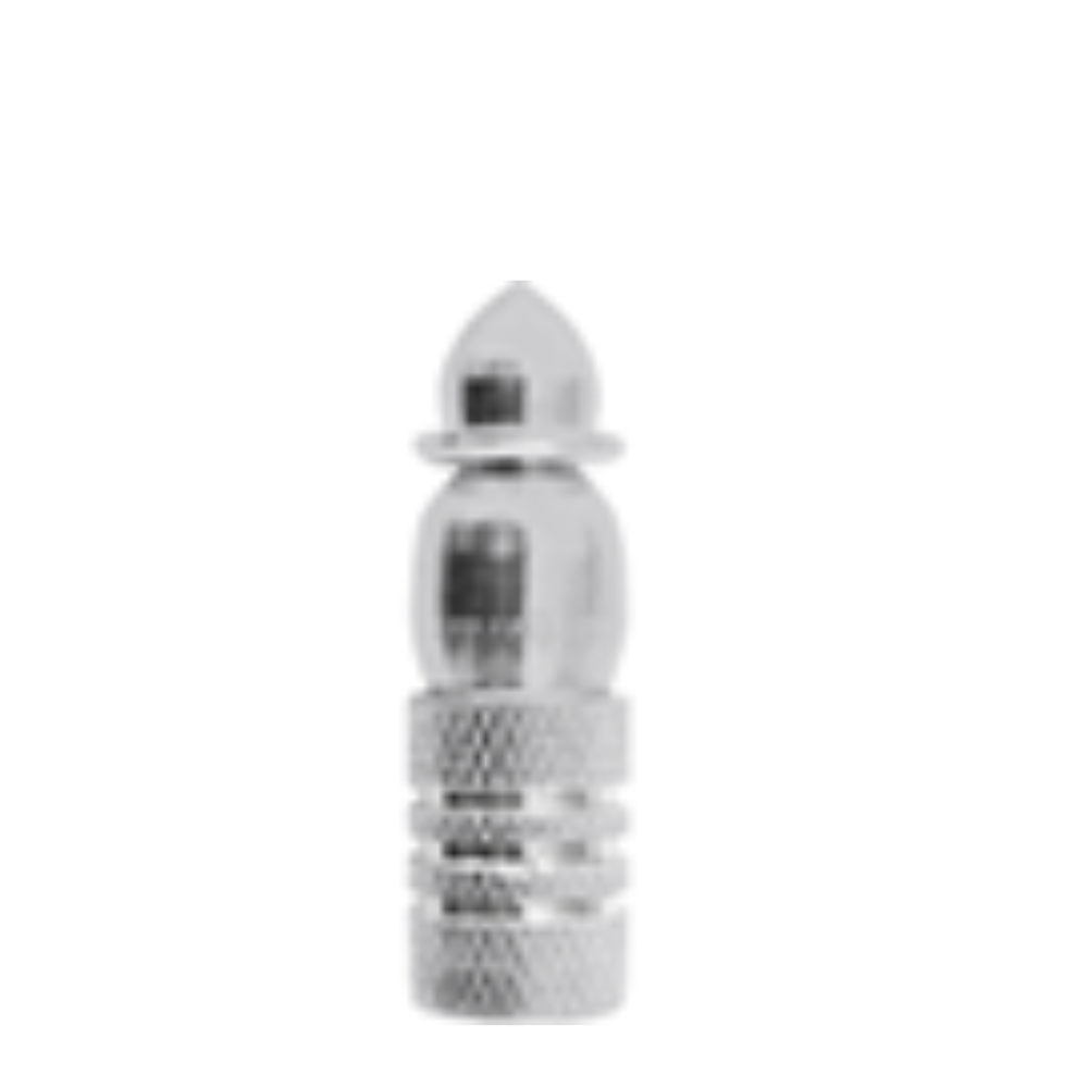 TAPON DE VALVULA POSTE VICTORY PLATA