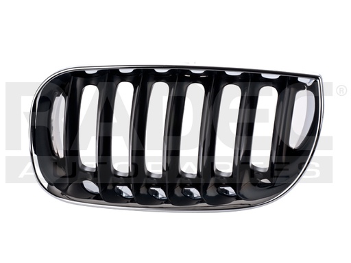 [204-0317-01] PARRILLA BW X3 04-06 CROMADA IZQ