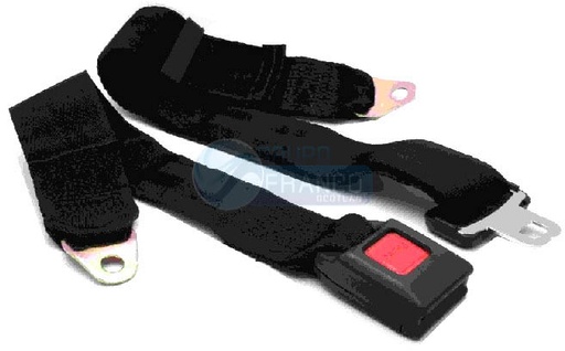 [CINS302] CINTURON SEGURIDAD 2 PTAS