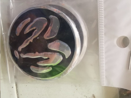 [EMBL19001C] EMBLEMA CENTRO RIN RAM CHICO S /P