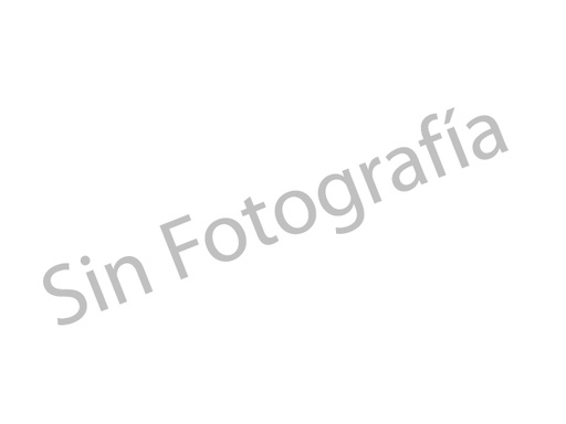 [011-0916-15] MOLDURA FASCIA DEL DG RAM 700  15- PRECI