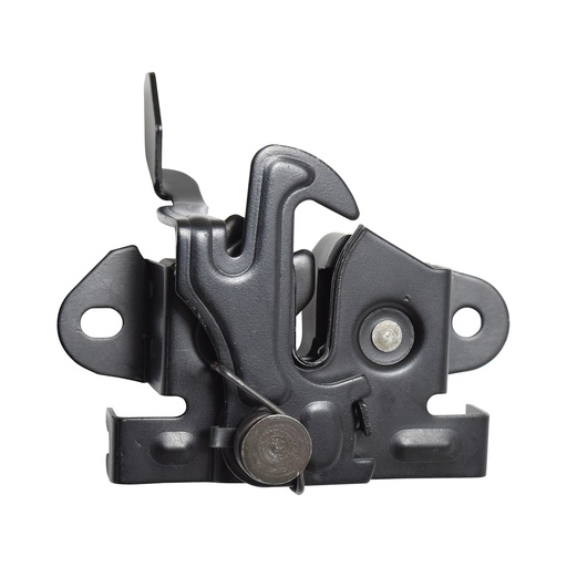 [104900] CHAPA DE COFRE DG H100 06-10  METAL GENERICA    
