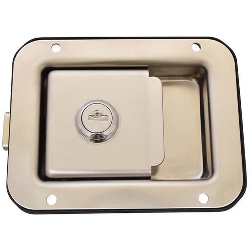 [012-9944-00] MANIJA EXTERIOR UN CAMION CHAPA HUNDIDA  CROMADA ZINC HUSHAN Derecho/Izquierdo Universal